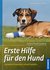 E-Book Erste Hilfe für den Hund