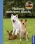 E-Book Haltung mehrerer Hunde