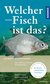 E-Book Welcher Fisch ist das?