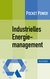 E-Book Industrielles Energiemanagement