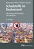 E-Book Schadstoffe im Baubestand E-Book (PDF)