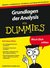 E-Book Grundlagen der Analysis fur Dummies