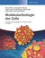E-Book Molekularbiologie der Zelle