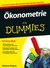 E-Book Ökonometrie für Dummies