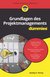 E-Book Grundlagen des Projektmanagements für Dummies