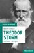 E-Book Theodor Storm