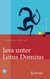 E-Book Java unter Lotus Domino