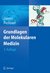 E-Book Grundlagen der Molekularen Medizin