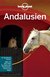 E-Book Lonely Planet Reiseführer Andalusien