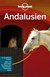 E-Book Lonely Planet Reiseführer Andalusien