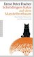 E-Book Schrödingers Katze auf dem Mandelbrotbaum