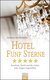 E-Book Hotel Fünf Sterne