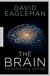 E-Book The Brain
