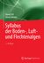 E-Book Syllabus der Boden-, Luft- und Flechtenalgen