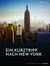 E-Book Ein Kurztrip nach New York: die wichtigsten Sehenswürdigkeiten des Big Apple
