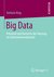E-Book Big Data
