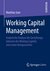 E-Book Working Capital Management