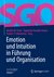 E-Book Emotion und Intuition in Führung und Organisation