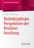 E-Book Multidisziplinäre Perspektiven der Resilienzforschung