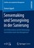E-Book Sensemaking und Sensegiving in der Sanierung