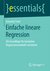 E-Book Einfache lineare Regression