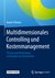 E-Book Multidimensionales Controlling und Kostenmanagement