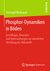 E-Book Phosphor-Dynamiken in Böden