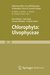 E-Book Freshwater Flora of Central Europe, Vol 13: Chlorophyta: Ulvophyceae (Süßwasserflora von Mitteleuropa, Bd. 13: Chlorophyta: Ulvophyceae)