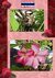 E-Book Thai Blumen und Pfanzen Photobuch von Heinz Duthel