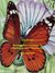 E-Book Personalbilanz Lesebogen 70 Flügelschlag eines Schmetterling