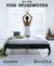 E-Book Yoga Grundwissen