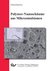 E-Book Polymer-Nanosch&#xE4;ume aus Mikroemulsion