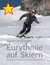 E-Book Eurythmie auf Skiern