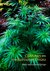E-Book Cannabis im medizinischen Einsatz