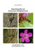E-Book Naturfotografie mit Superzoom-Bridgekameras