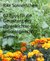 E-Book 62 Tipps für die Gestaltung des pflegeleichten und seniorengerechten Gartens
