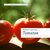 E-Book Probier's mal mit...Tomaten - 43 Gerichte mit den leckeren Früchten