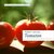 E-Book Probier's mal mit...Tomaten - 45 Gerichte mit den leckeren Früchten