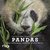 E-Book Pandas