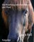 E-Book Die Beziehung zwischen Mensch und Pferd