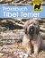 E-Book Praxisbuch Tibet Terrier