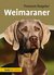 E-Book Weimaraner