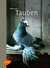 E-Book Tauben