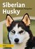 E-Book Siberian Husky