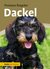 E-Book Dackel