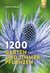 E-Book 1200 Garten- und Zimmerpflanzen