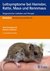 E-Book Leitsymptome bei Hamster, Ratte, Maus und Rennmaus