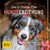 E-Book Der 6-Stufen-Plan Hundeerziehung