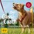 E-Book Der Gassi-Coach