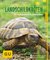 E-Book Landschildkröten